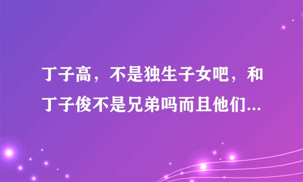 丁子高，不是独生子女吧，和丁子俊不是兄弟吗而且他们是兄弟三人吧