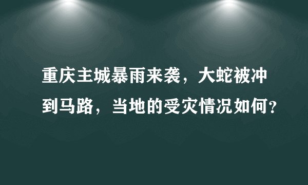 重庆主城暴雨来袭，大蛇被冲到马路，当地的受灾情况如何？