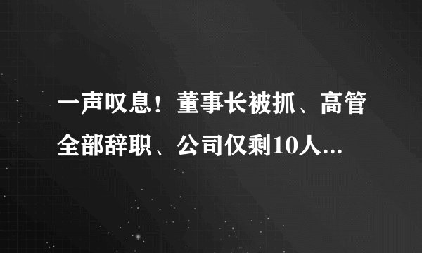 一声叹息!董事长被抓、高管全部辞职、公司仅剩10人,曾经风光无限的暴风集团只剩“空壳”