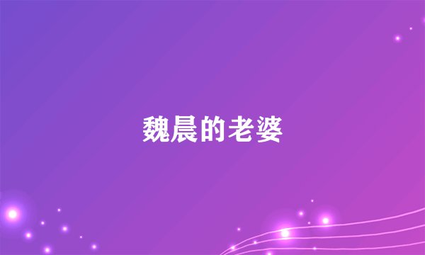 魏晨的老婆