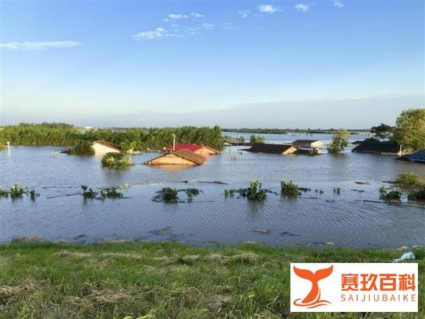 抢险洞庭湖：打桩船在溃口处植入钢板拦截洪流，司机通宵守候卸下一车砂石