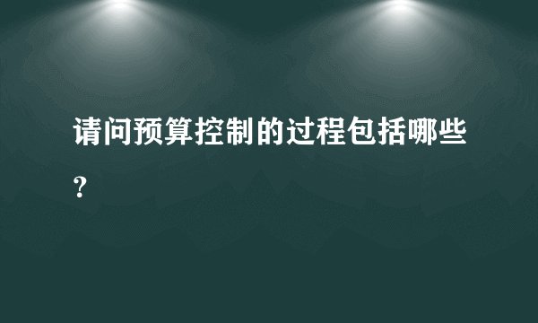 请问预算控制的过程包括哪些？
