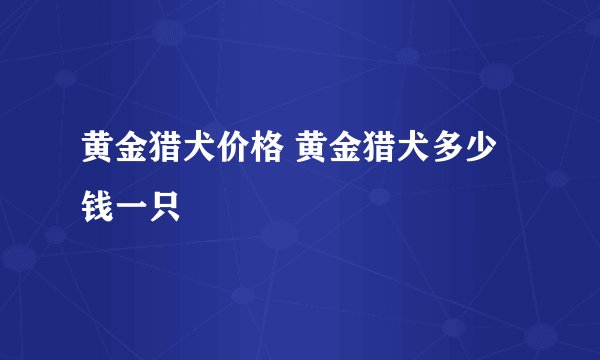 黄金猎犬价格 黄金猎犬多少钱一只