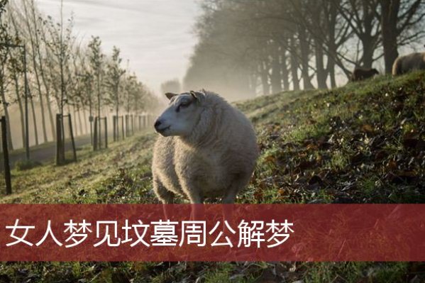 女人梦到坟墓财运好不好