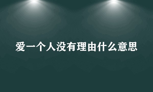 爱一个人没有理由什么意思