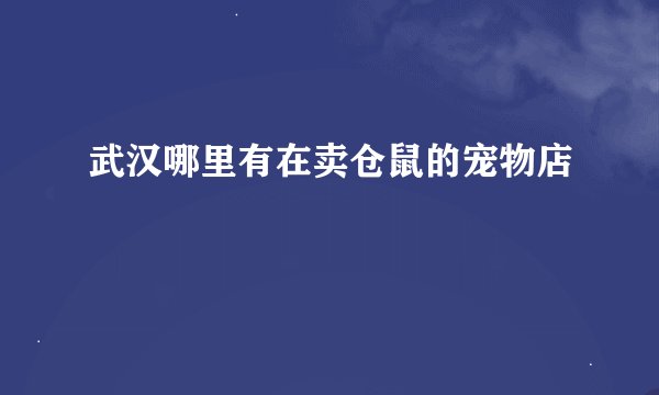 武汉哪里有在卖仓鼠的宠物店
