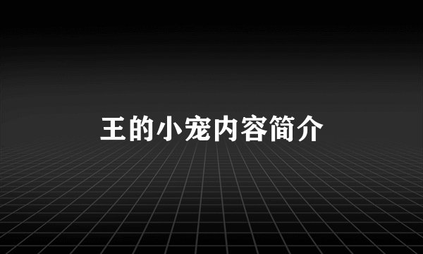 王的小宠内容简介