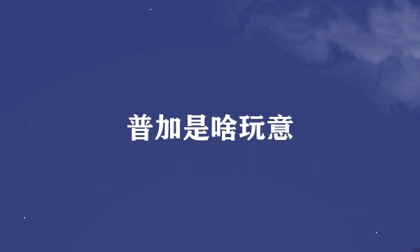 普加是啥玩意