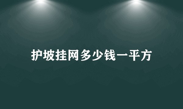 护坡挂网多少钱一平方