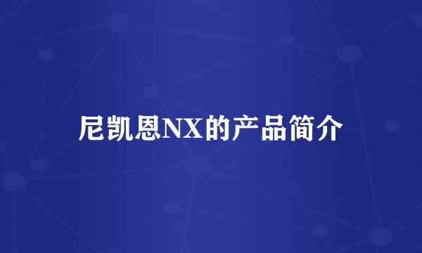 尼凯恩NX的产品简介