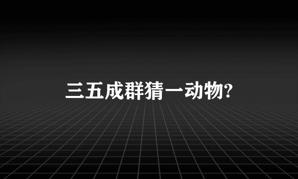 三五成群猜一动物?