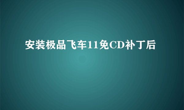 安装极品飞车11免CD补丁后