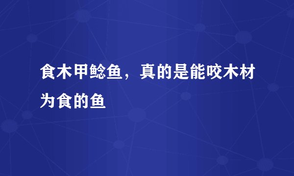 食木甲鲶鱼，真的是能咬木材为食的鱼