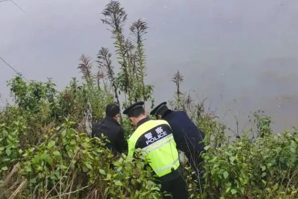 南京一市民在路边草丛捡到了北极狐，发现类似动物后，该如何处置呢？