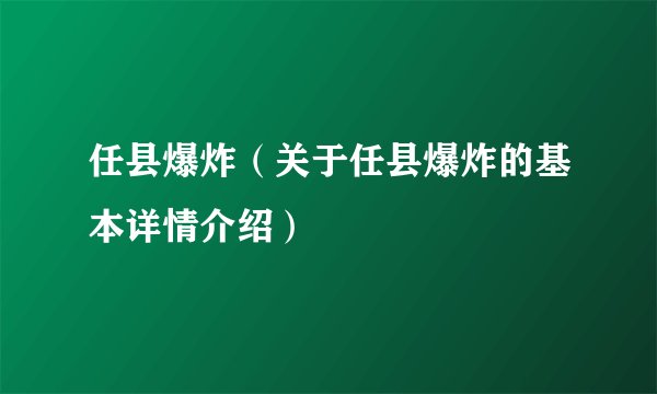 任县爆炸（关于任县爆炸的基本详情介绍）