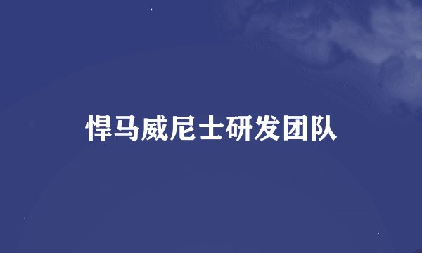 悍马威尼士研发团队