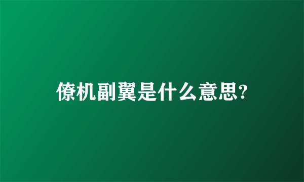 僚机副翼是什么意思?