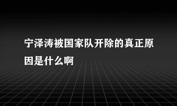 宁泽涛被国家队开除的真正原因是什么啊
