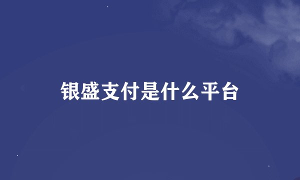 银盛支付是什么平台