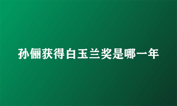 孙俪获得白玉兰奖是哪一年