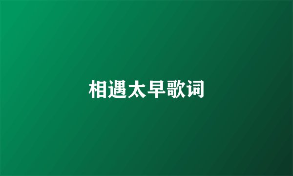相遇太早歌词