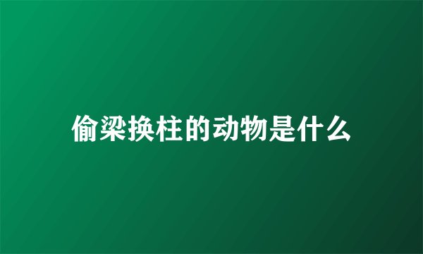 偷梁换柱的动物是什么
