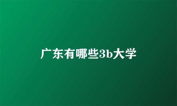 广东有哪些3b大学