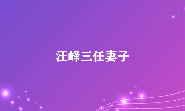 汪峰三任妻子
