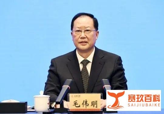 国家电网原董事长再当选湖南省省长
