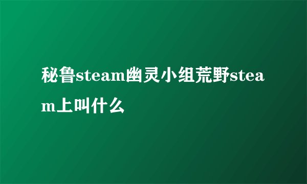 秘鲁steam幽灵小组荒野steam上叫什么