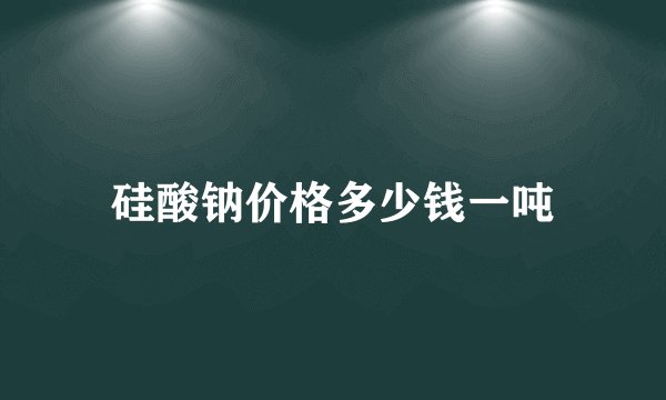 硅酸钠价格多少钱一吨