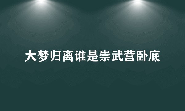 大梦归离谁是崇武营卧底