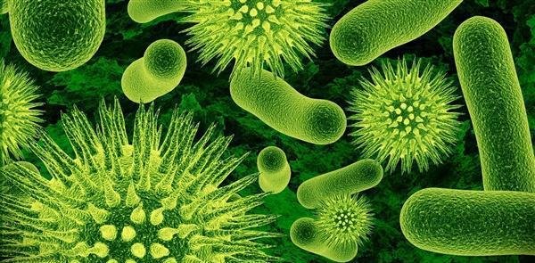 美国药企惊现消灭40年的天花病毒 这是咋情况？