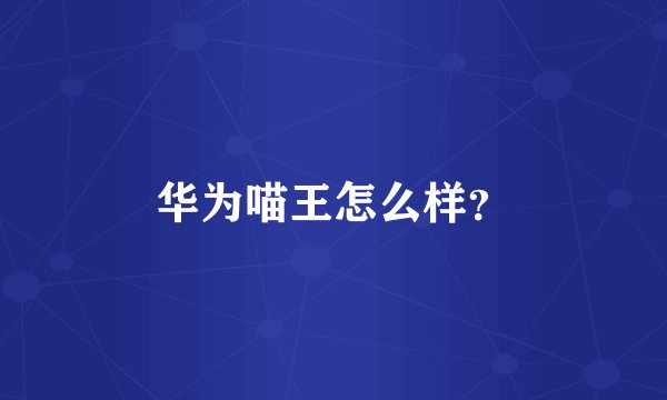 华为喵王怎么样？