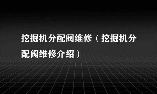 挖掘机分配阀维修（挖掘机分配阀维修介绍）