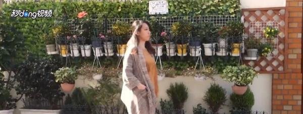 森女是什么意思