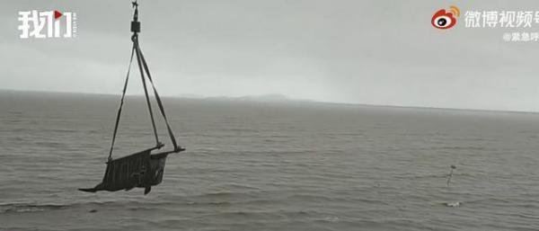 9头搁浅瓜头鲸已被救起 这是咋情况？