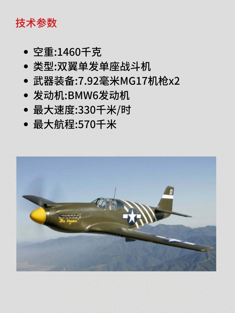 He 51 战斗机[德]