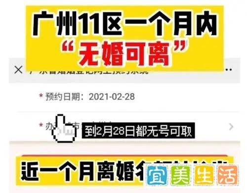 广州离婚名额黄牛代抢每单600元背后牛年话黄牛学职场智慧