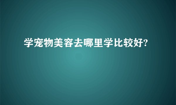 学宠物美容去哪里学比较好?