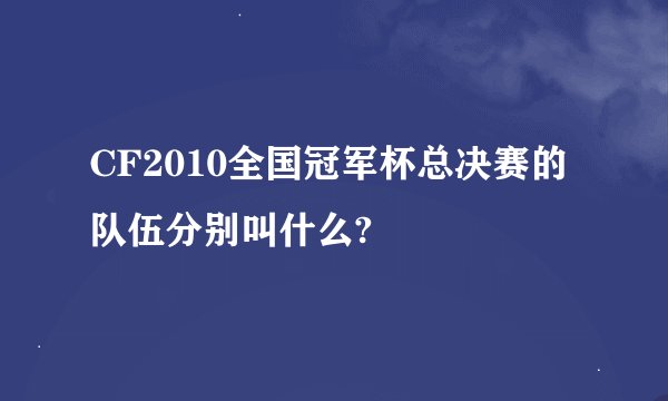 CF2010全国冠军杯总决赛的队伍分别叫什么?