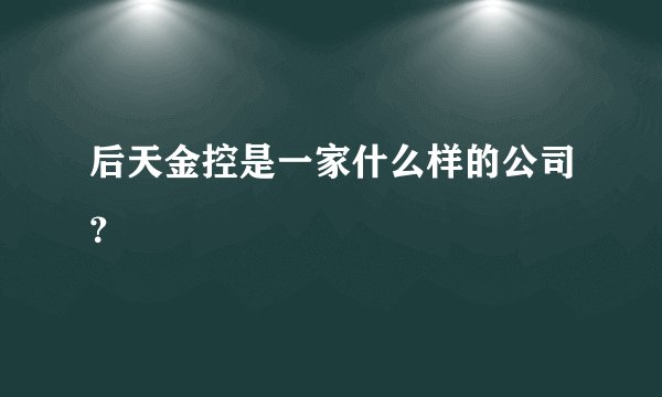 后天金控是一家什么样的公司？