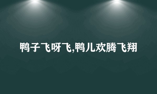 鸭子飞呀飞,鸭儿欢腾飞翔