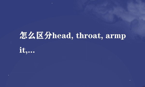 怎么区分head, throat, armpit, nipple, chest, pit和abdomen