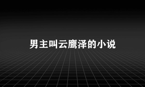 男主叫云鹰泽的小说