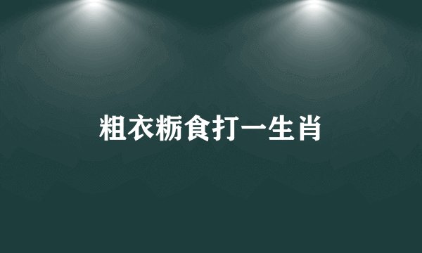 粗衣粝食打一生肖