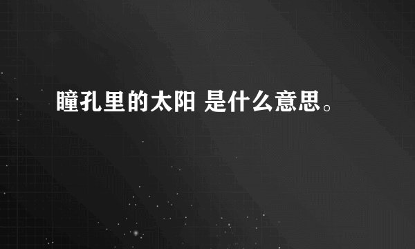 瞳孔里的太阳 是什么意思。