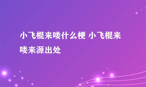 小飞棍来喽什么梗 小飞棍来喽来源出处