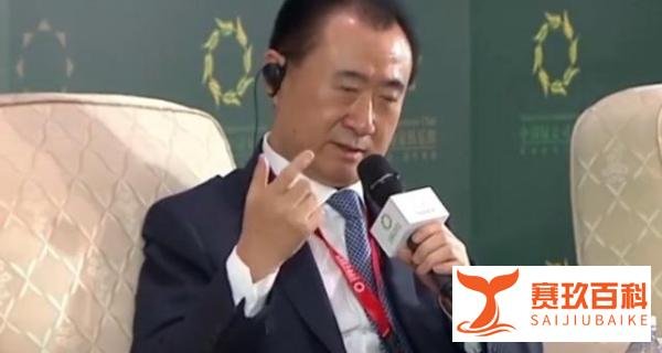 万达集团高级副总裁刘海波被带走调查