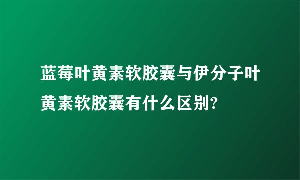 蓝莓叶黄素软胶囊与伊分子叶黄素软胶囊有什么区别?
